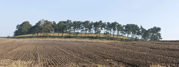Harrowed Field — Stock Photo, Image