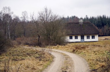 Cottage with Thatched Roof clipart