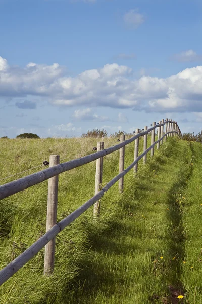 Fence Against the Blue sky — Stock Photo, Image