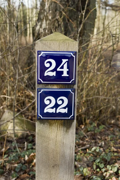 Nummer 22 und 24 — Stockfoto
