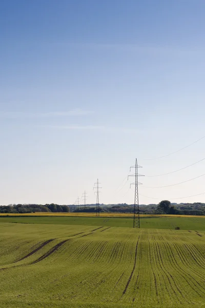 Power Pylons in the Field — Stock Photo, Image
