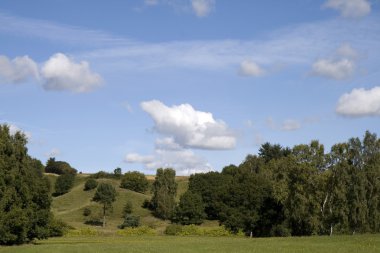 Ormanın üzerindeki bulutlar