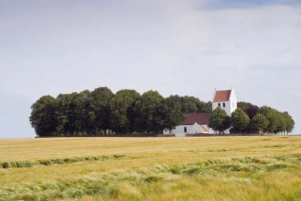 Church in the Corn Field — Stock Photo, Image