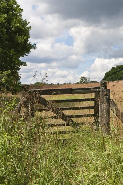 Brama w polu — Zdjęcie stockowe