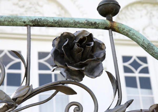 Róża żelazo — Zdjęcie stockowe