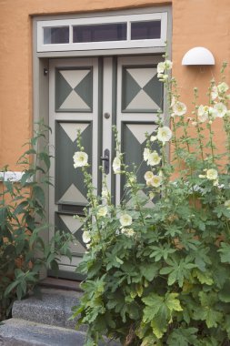 Door With Hollyhocks clipart