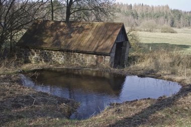 Shack at the Pond clipart