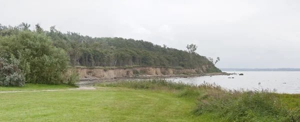 Foresta sulla costa — Foto Stock