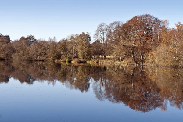Reflexão em um lago — Fotografia de Stock