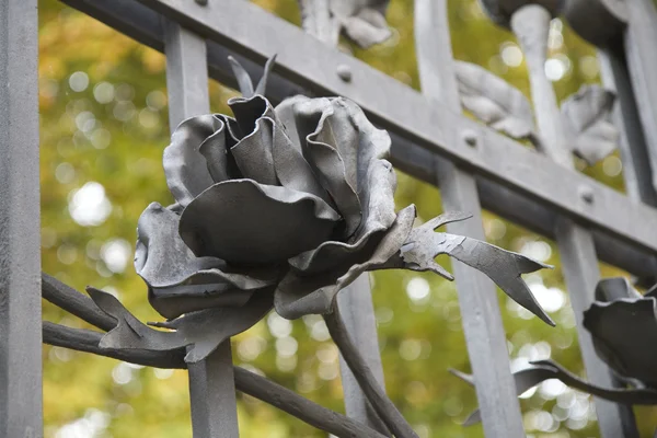 鉄のバラ — ストック写真