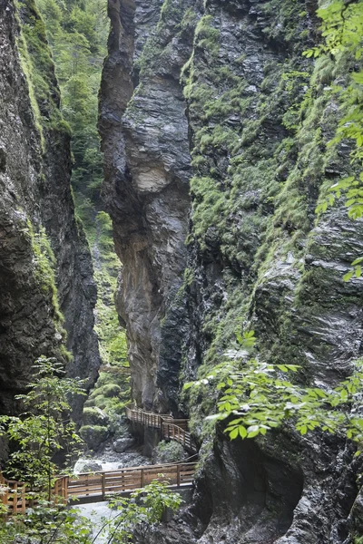 Lichtensteinklamm ущелині Ліцензійні Стокові Зображення