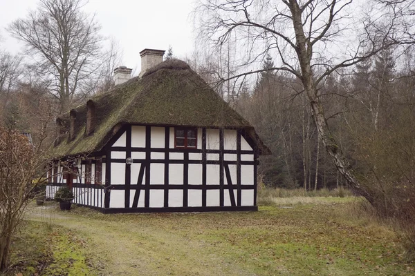 Ormanda küçük bir ev. — Stok fotoğraf