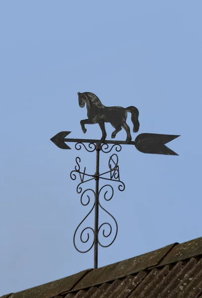 Лошадь на крыше — стоковое фото