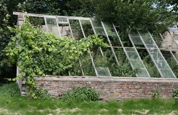 The Old Greenhouse — Stock Photo, Image