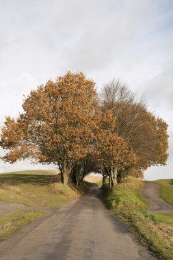 küçük yol