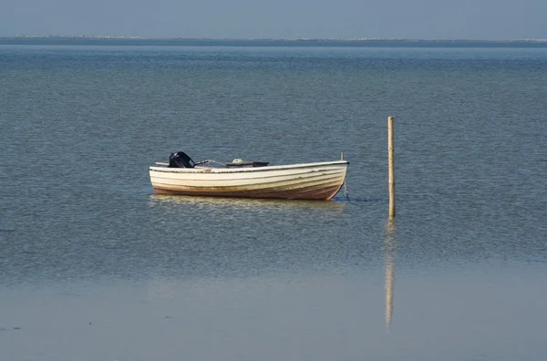 在丹麦的海岸的风帆 — 图库照片