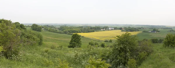 Grüne und gelbe Felder — Stockfoto