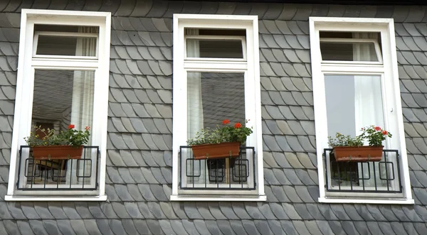 Kolme ikkunaa — kuvapankkivalokuva
