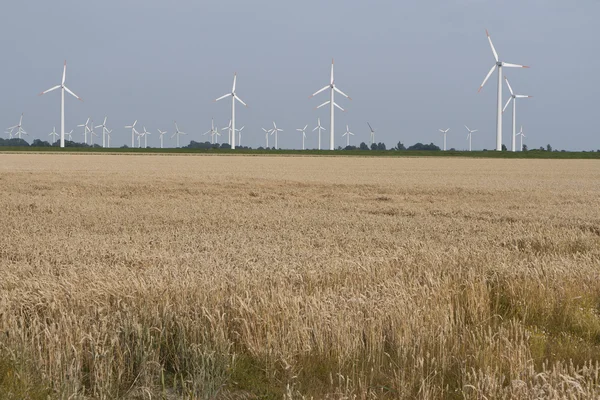 Windmills Behind the Corn Field — Stock Photo, Image