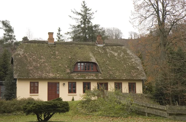 Gele huis met rieten dak — Stockfoto