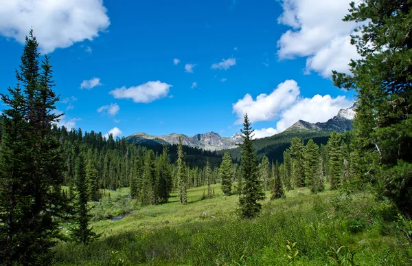 stock image National park Ergaki