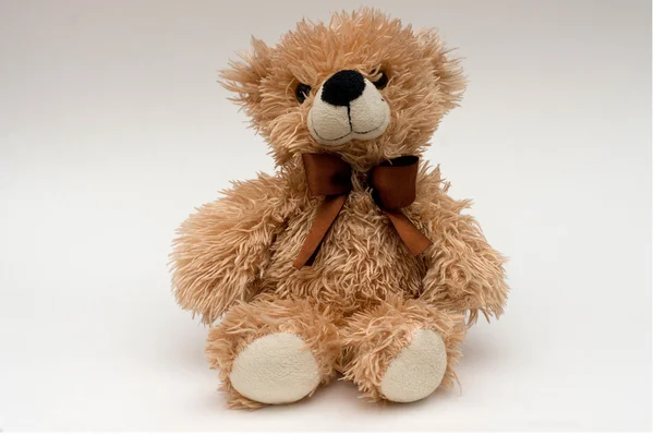 stock image Teddy bear