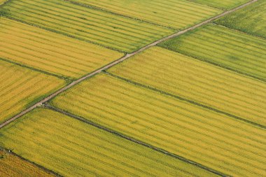 Aerial view of agriculture fields clipart