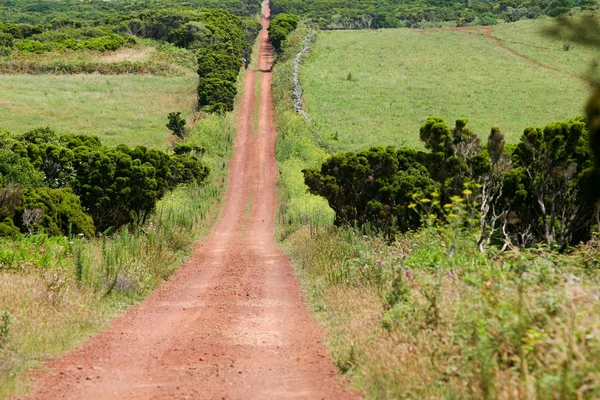 stock image Dirt road