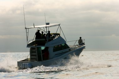 Whale watch boat in Azores clipart