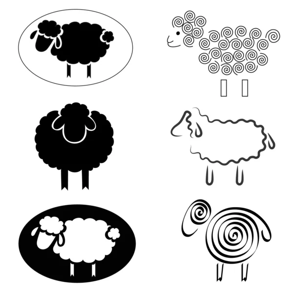 Sheeps — Stockvector