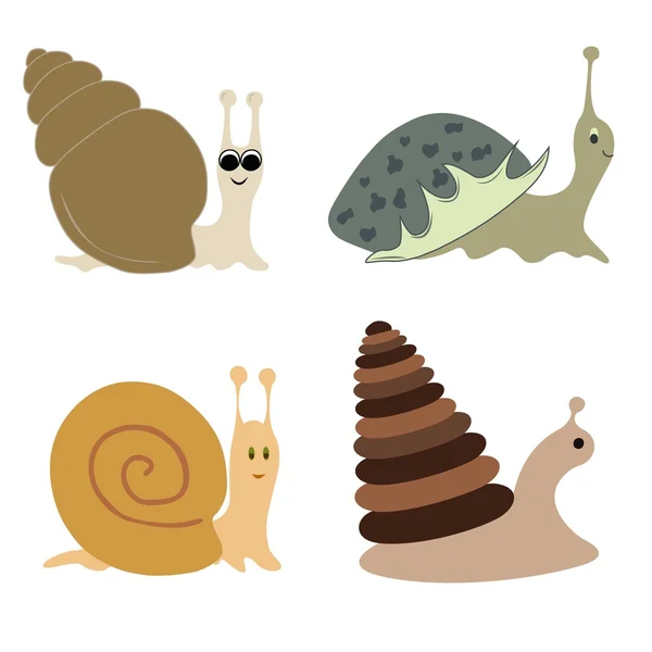 Some kinds of snails — Stock Vector
