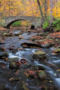 Bridge to autumn clipart