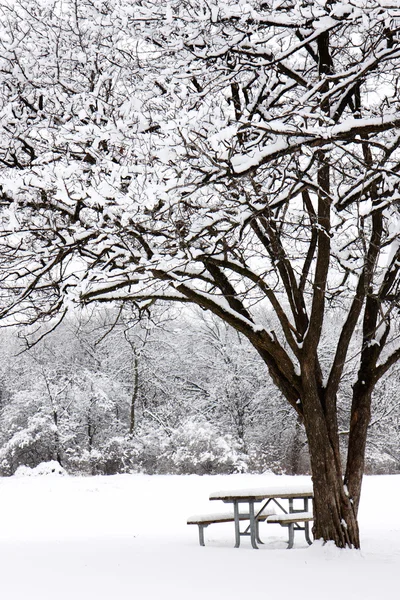 Снег мягко падает на скамейку для пикника в лесном заповеднике — стоковое фото