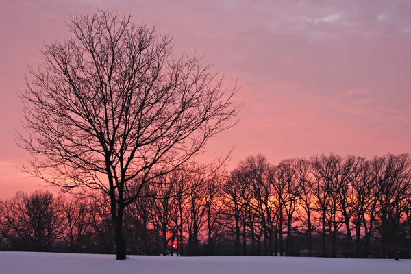 Εξοχή ανατολή του ηλίου σε μια κρύα ημέρα του χειμώνα — Φωτογραφία Αρχείου