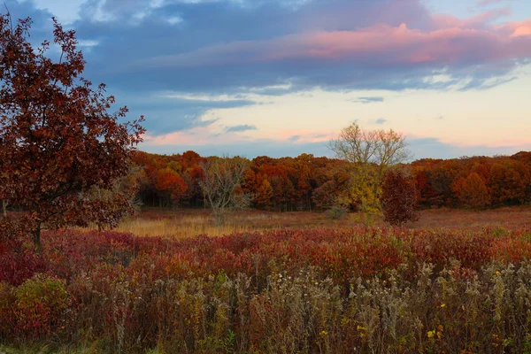 Осенний закат в лесах — стоковое фото
