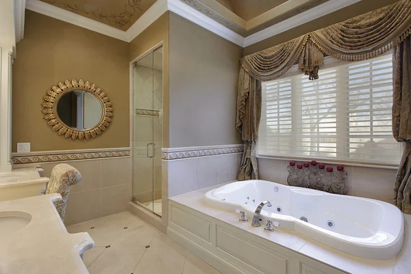 Master bath in elegant home — Stock Photo, Image