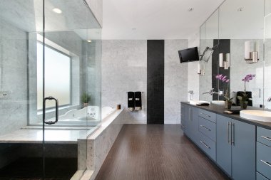 Sleek master bath in luxury home clipart