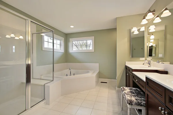Hlavní koupelna s prosklený sprchový kout — Stock fotografie