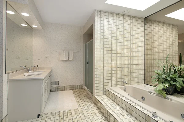단계 타일 욕조와 마스터 목욕 — 스톡 사진