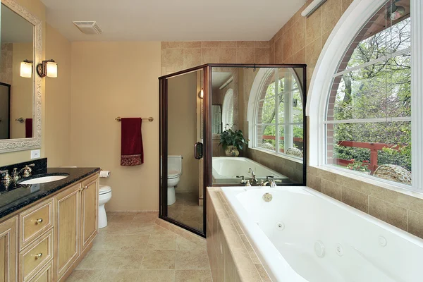 Master bath with arched window — Stock Photo, Image
