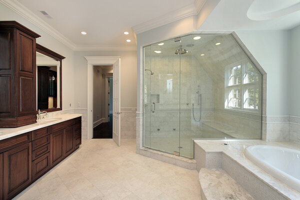 Master bath with step up tub