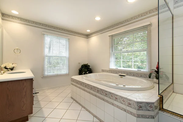 Master bath in remodeled home — Stock Photo, Image