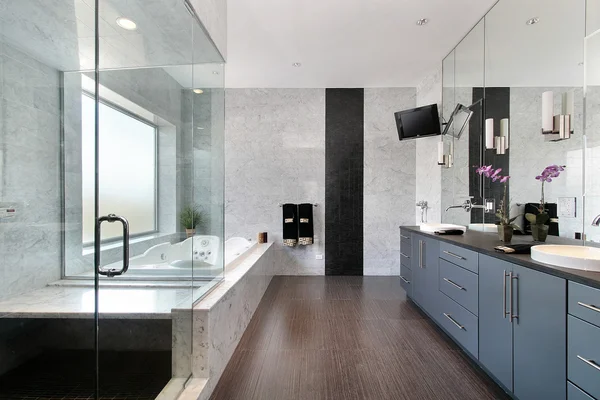 stock image Sleek master bath in luxury home