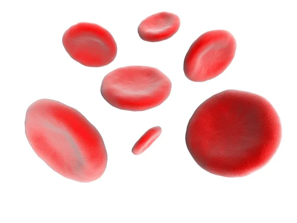Glóbulos sanguíneos — Foto de Stock