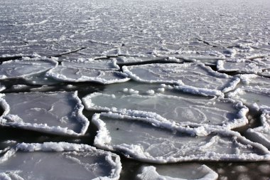dondurulmuş deniz