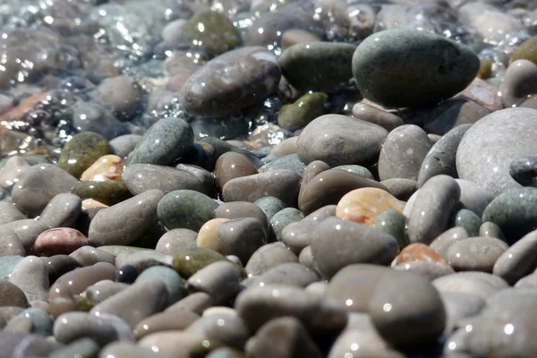 Moře kameny pozadí — Stock fotografie