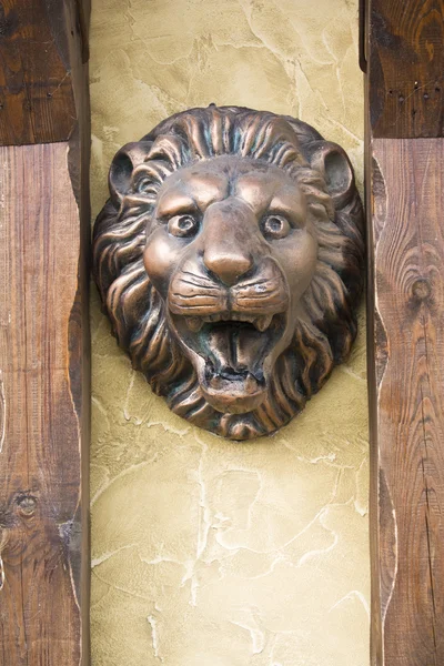 Lion head — Stock Photo, Image