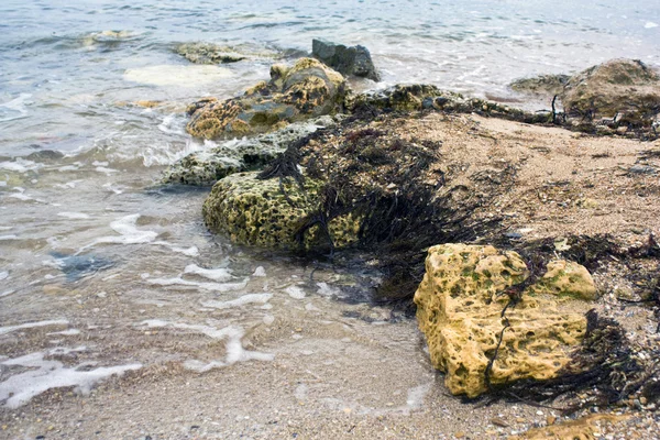 岸上的石头 — 图库照片