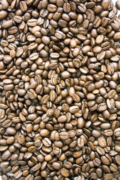 Kávová zrna textura — Stock fotografie