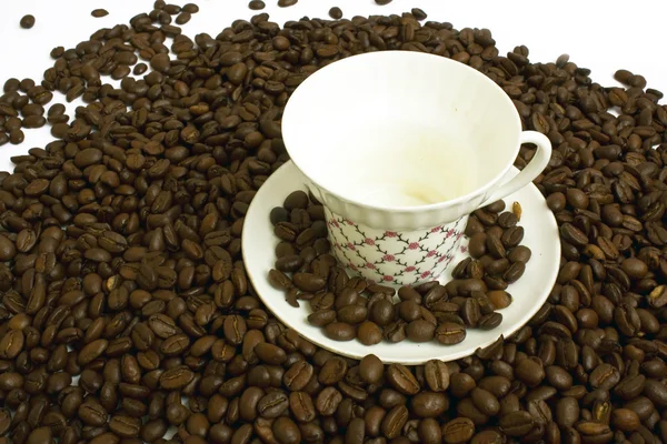 Κόκκοι καφέ και φλιτζάνι — Φωτογραφία Αρχείου